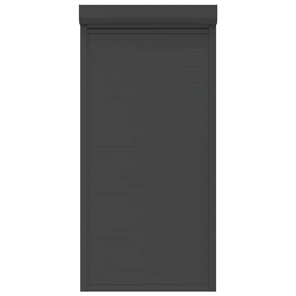 Roller Shutter Aluminium 100x210 cm Anthracite