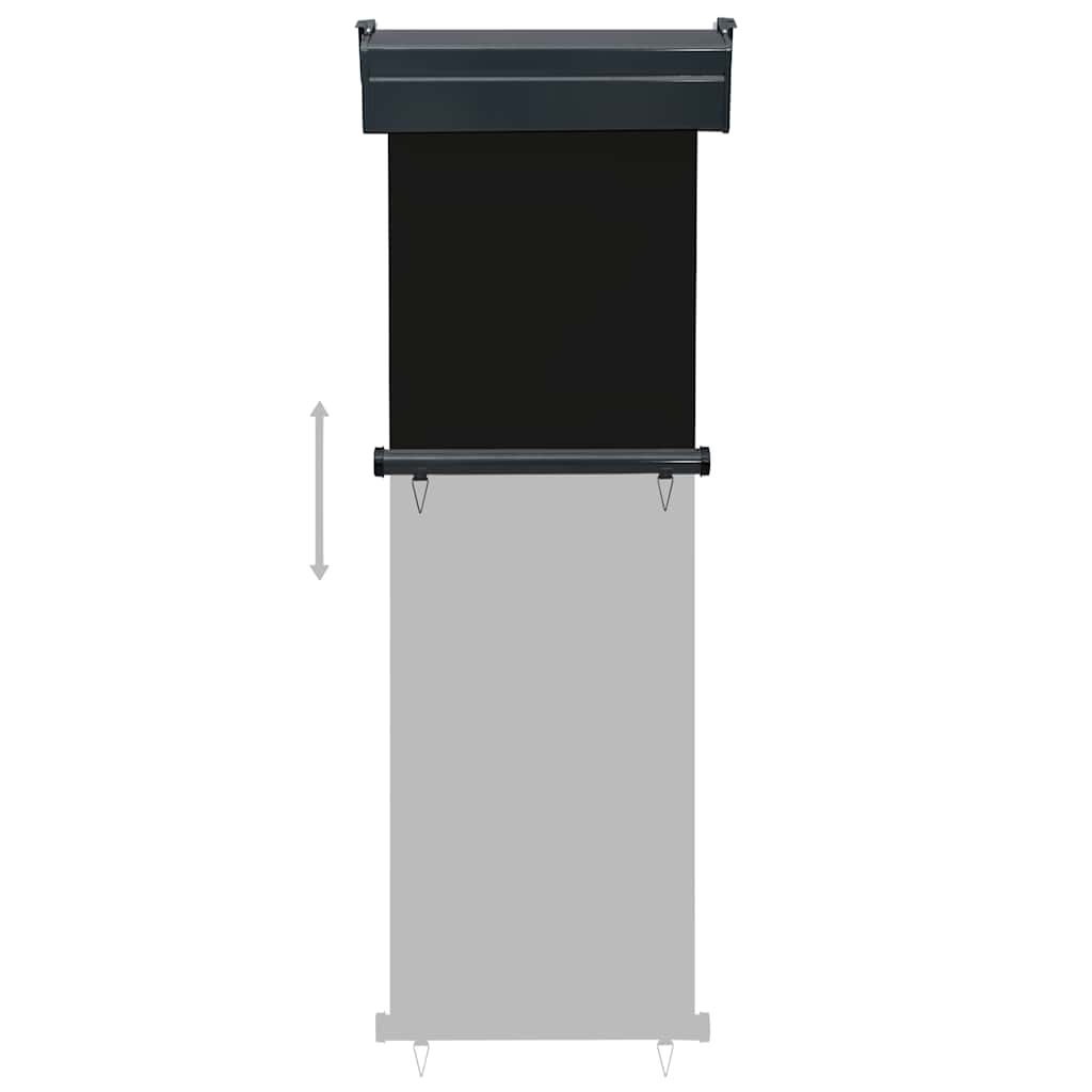 Balcony Side Awning 65x250 cm Black