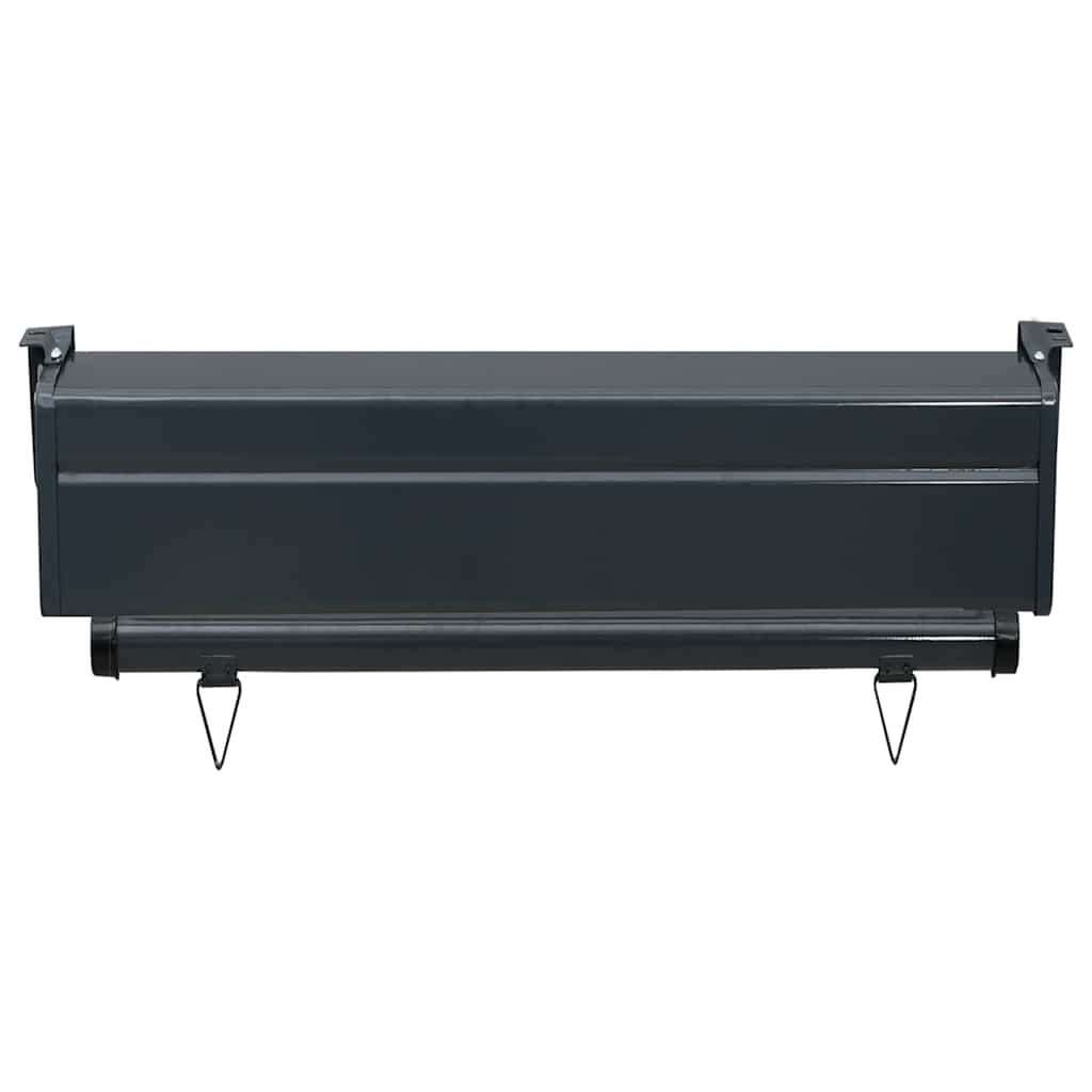 Balcony Side Awning 65x250 cm Black
