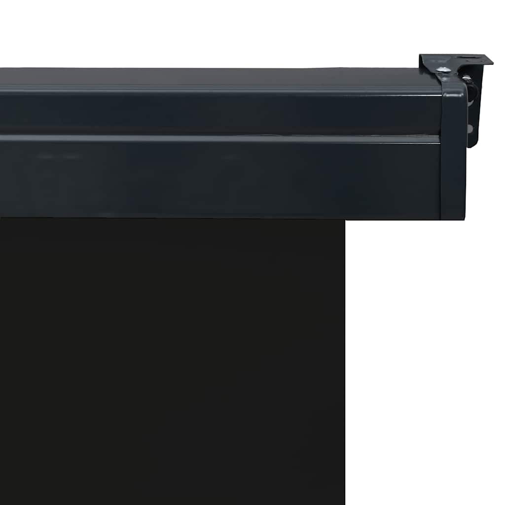 Balcony Side Awning 65x250 cm Black
