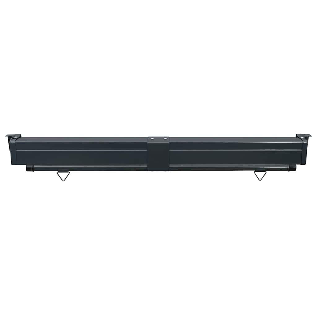 Balcony Side Awning 165x250 cm Red