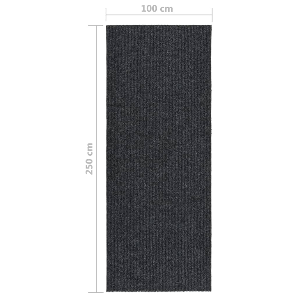 Dirt Trapper Carpet Runner 100x250 cm Anthracite