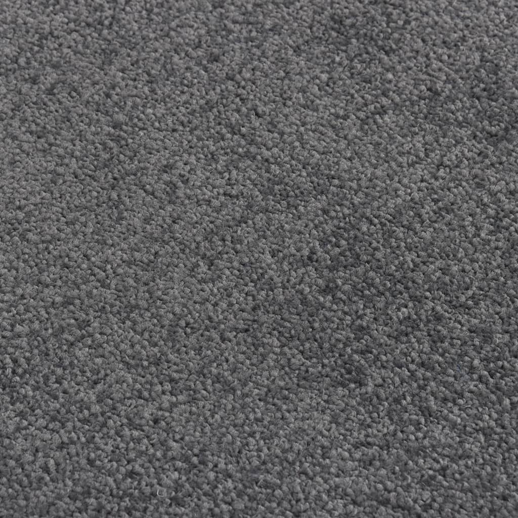 Doormat Anthracite 60x80 cm