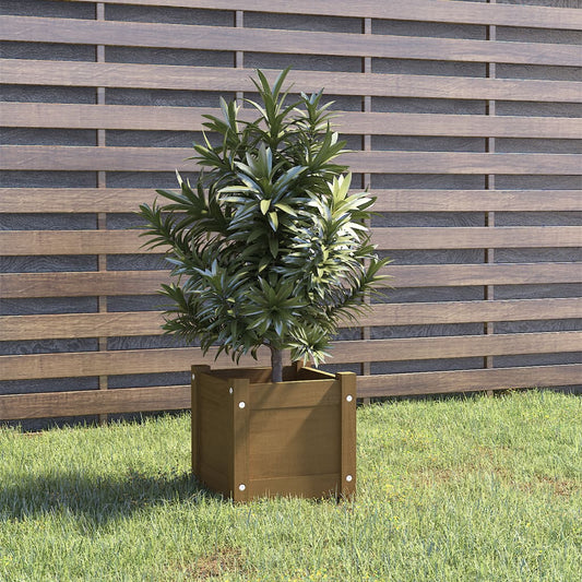 Garden Planter Honey Brown 31x31x31 cm Solid Pinewood