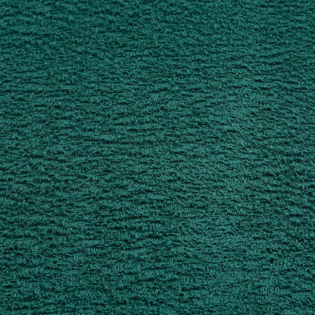 Wash Towels 10 pcs FROGN Green 30x30 cm 100% Cotton