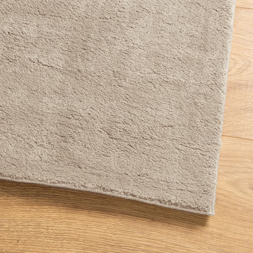 Rug HUARTE Short Pile Soft and Washable Sand 60x110 cm