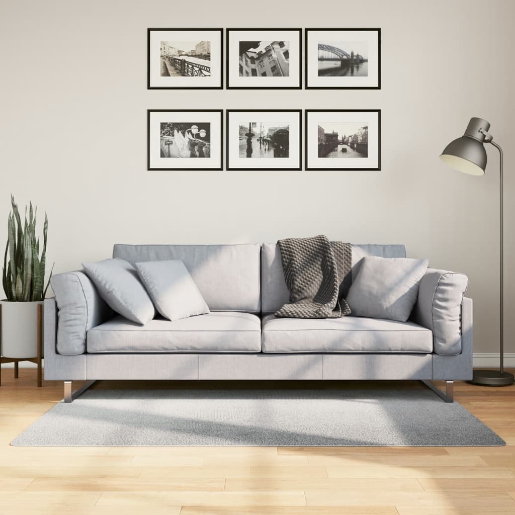 Rug IZA Short Pile Scandinavian Look Grey 80x150 cm