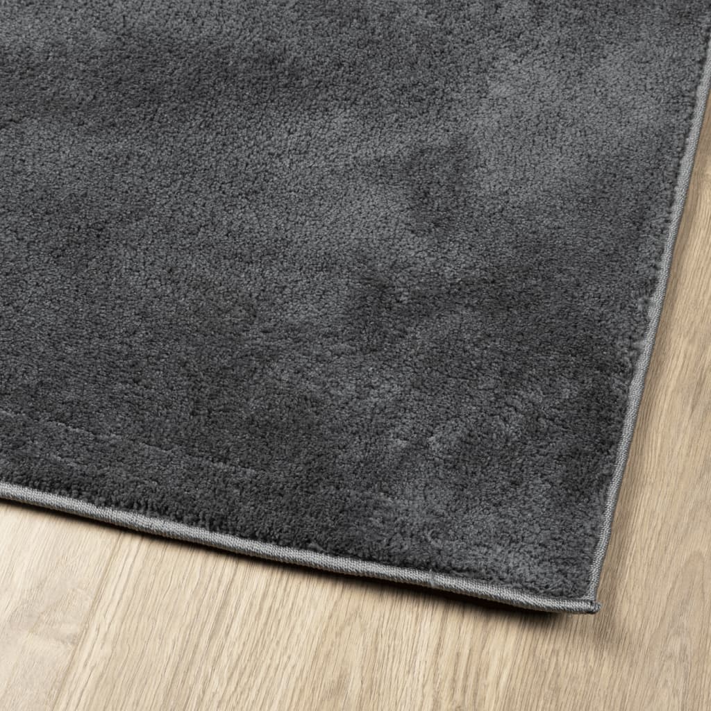 Rug OVIEDO Short Pile Anthracite 120x120 cm