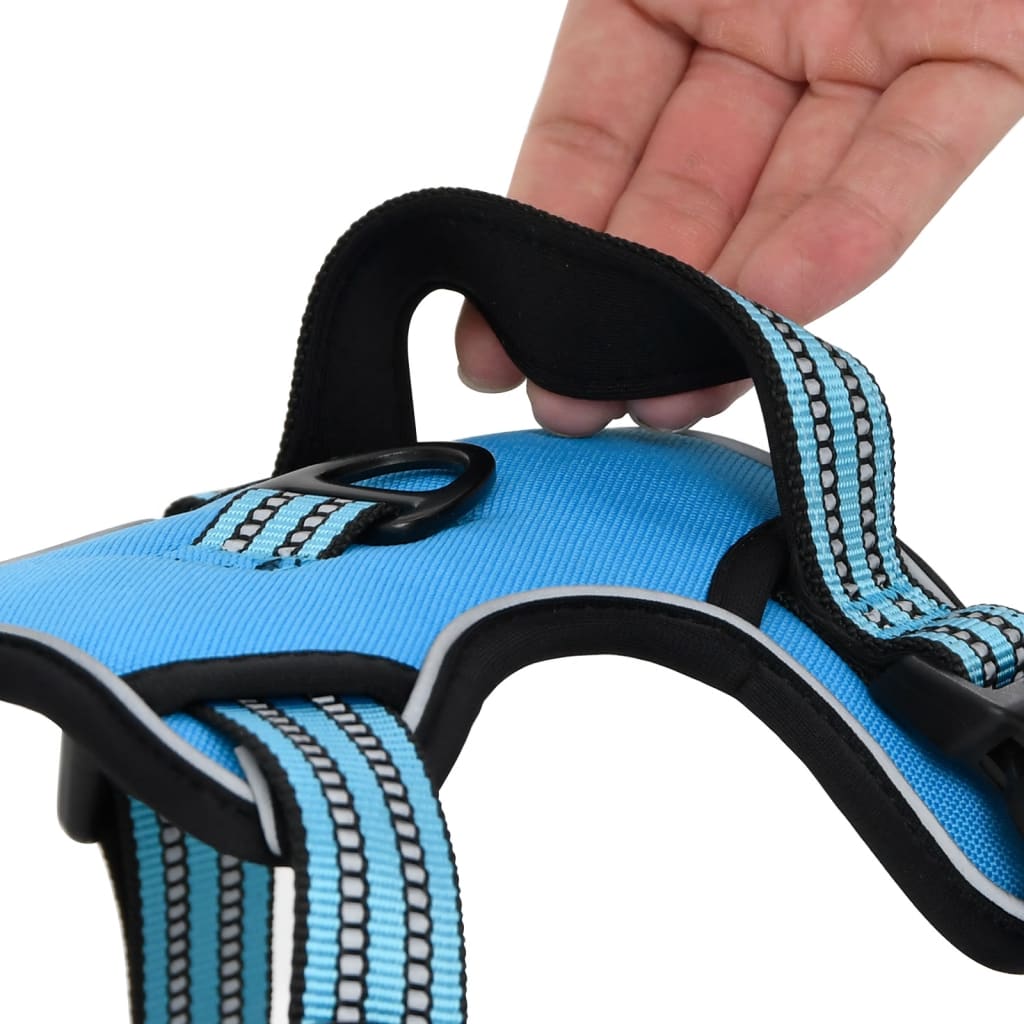 Dog Harness with Lead & Collar Adjustable Blue XL