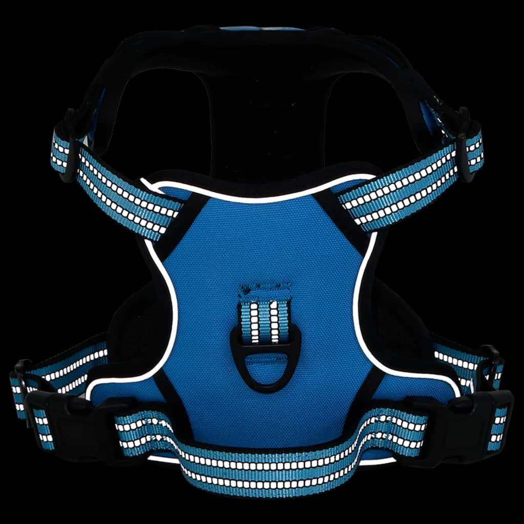 Dog Harness with Lead & Collar Adjustable Blue XL