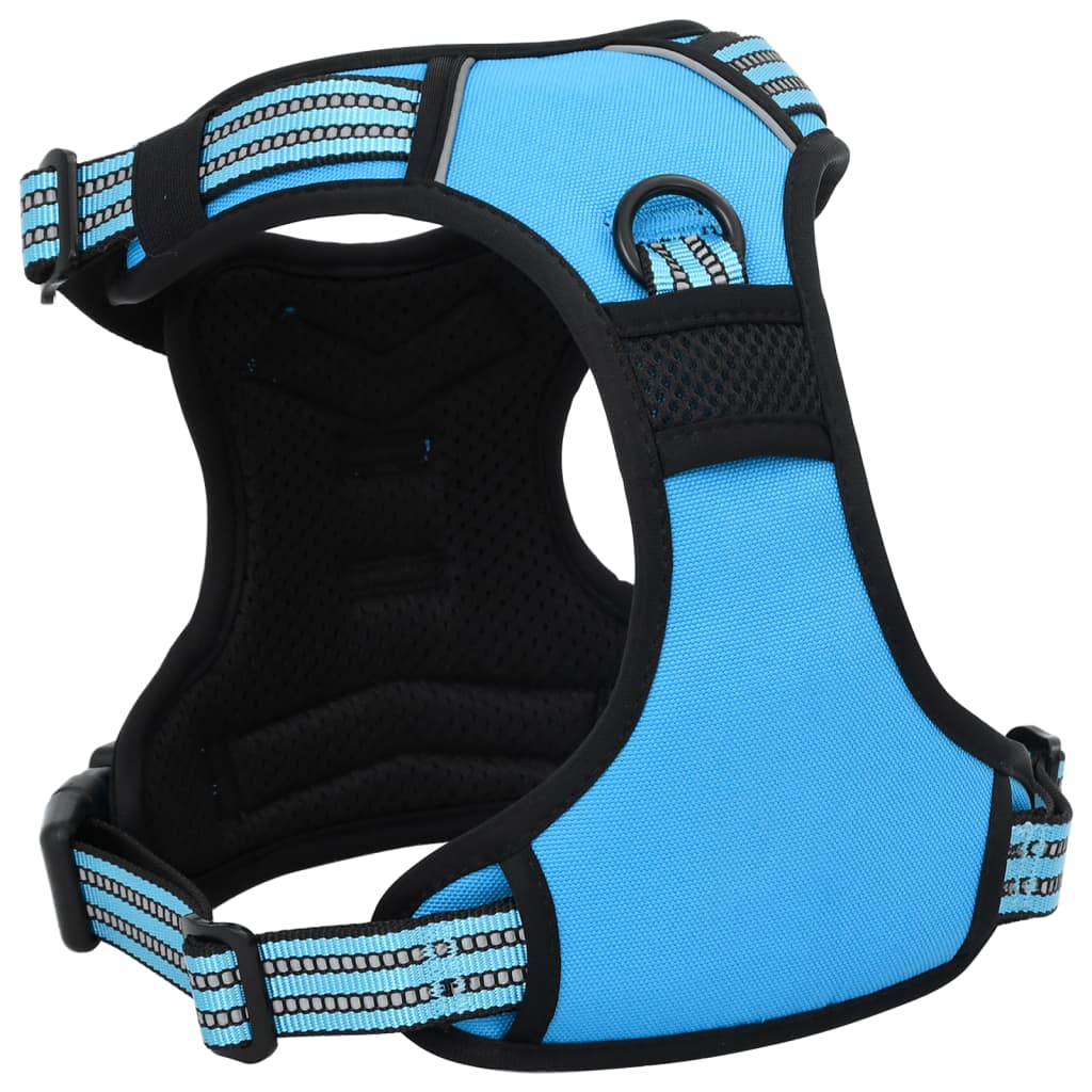 Dog Harness with Lead & Collar Adjustable Blue XL