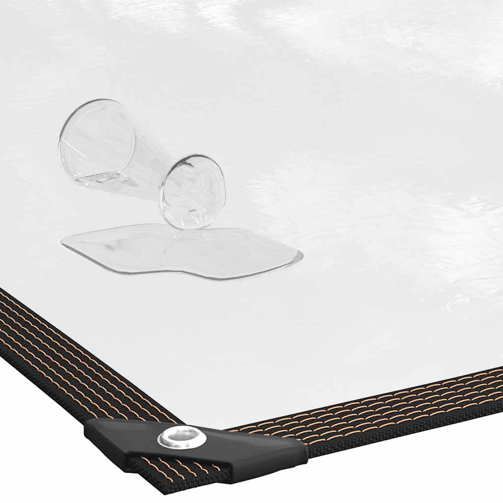 Clear Tarpaulin with Eyelets 2x3 m Polyethylene