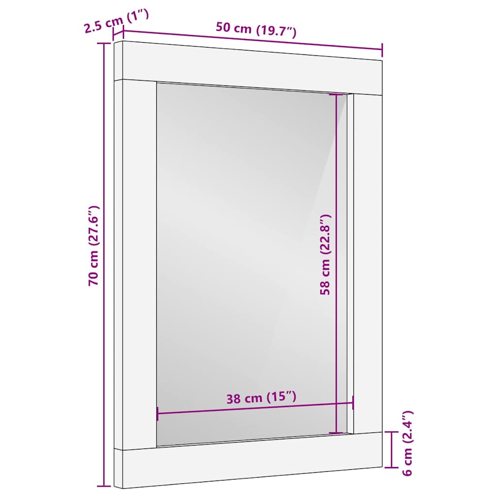 Bathroom Mirror with Mirror Black and Silver 70 x 50 x 2.5 cm