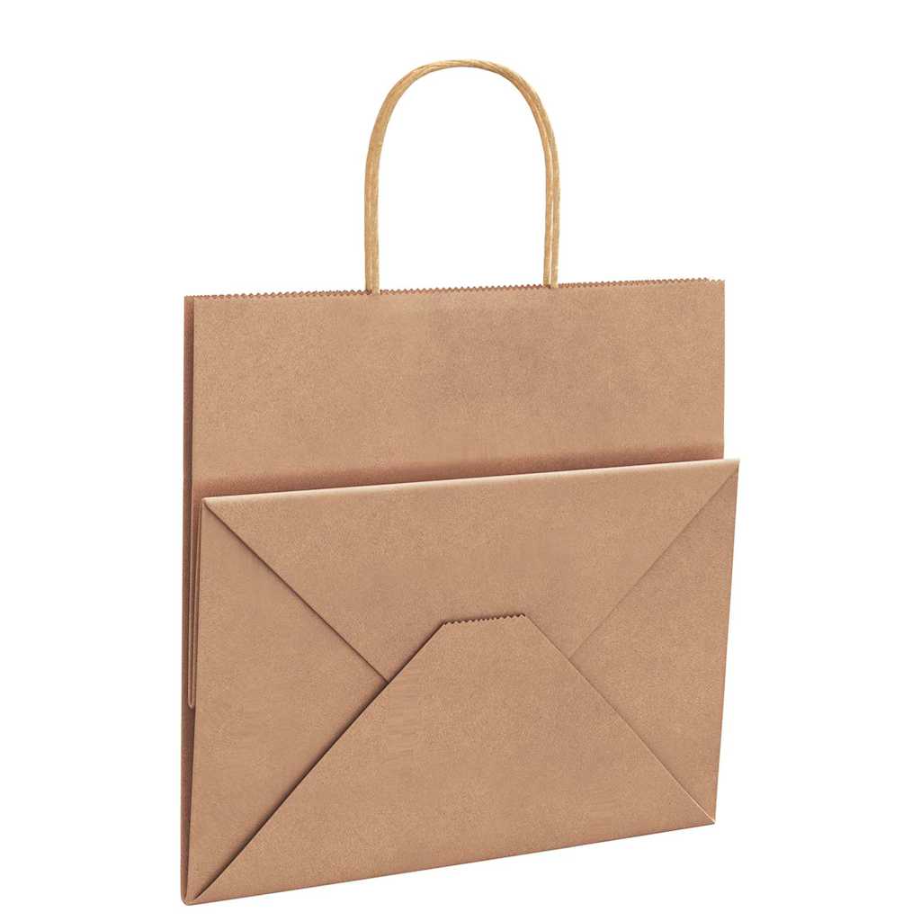 Paper Bags 50 pcs with Handles Brown 26x17x25 cm