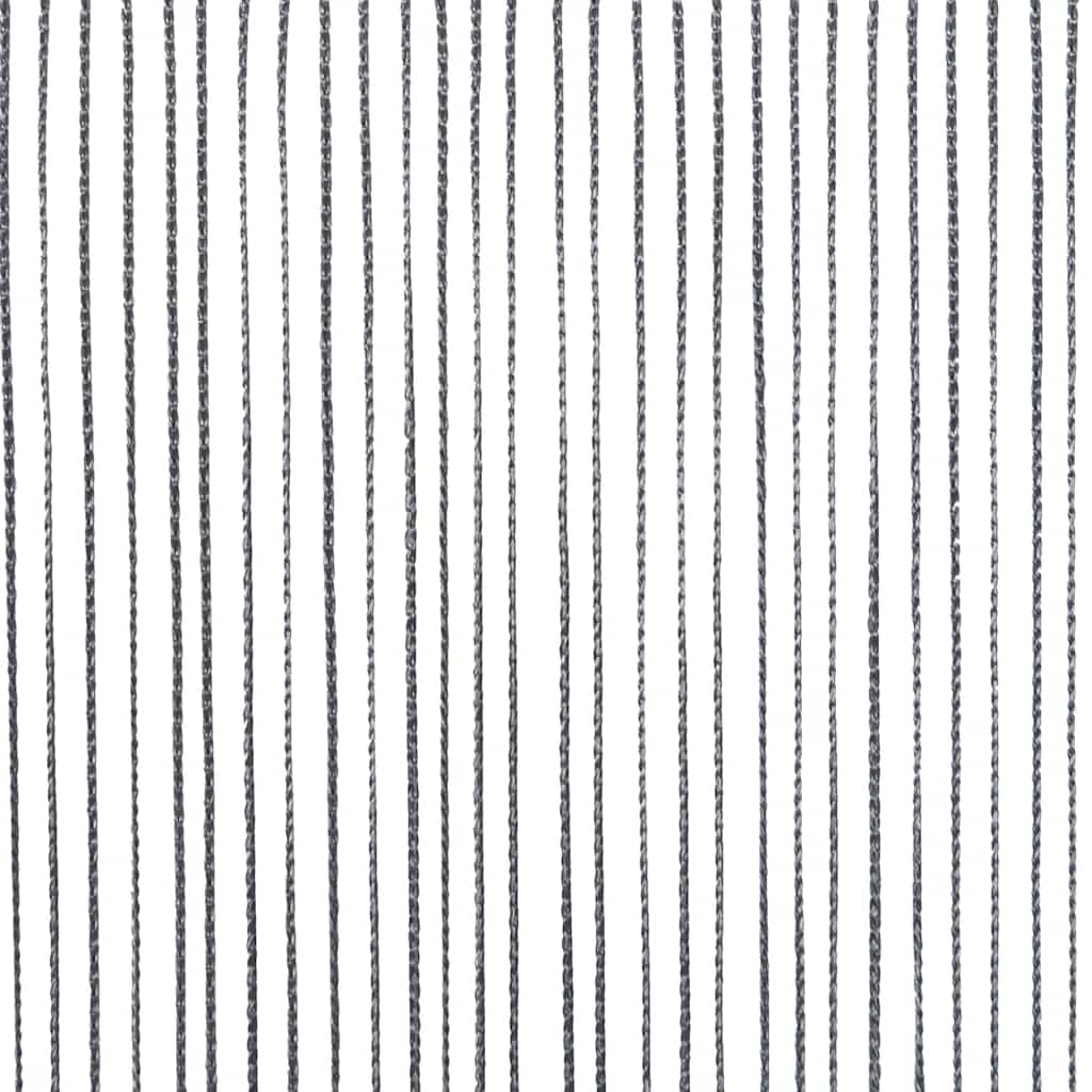 String Curtains 2 pcs Anthracite 100x250 cm