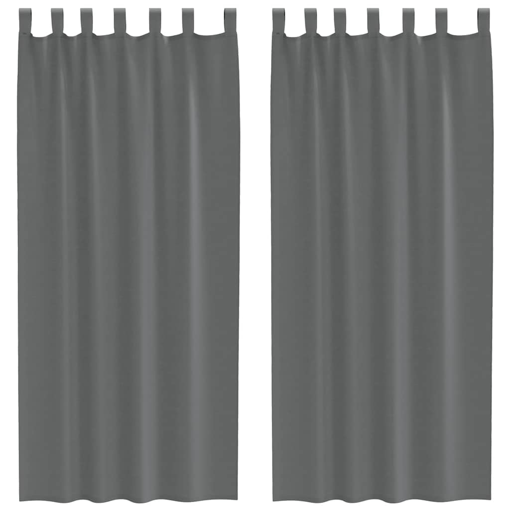 Voile Curtains with Loops 2 pcs Dark Grey 140x225 cm