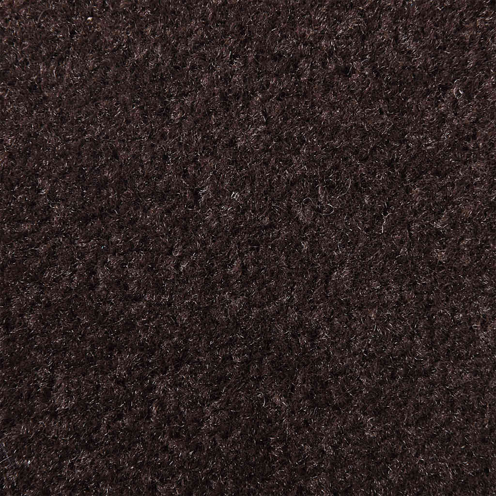Doormat Brown 60x90 cm