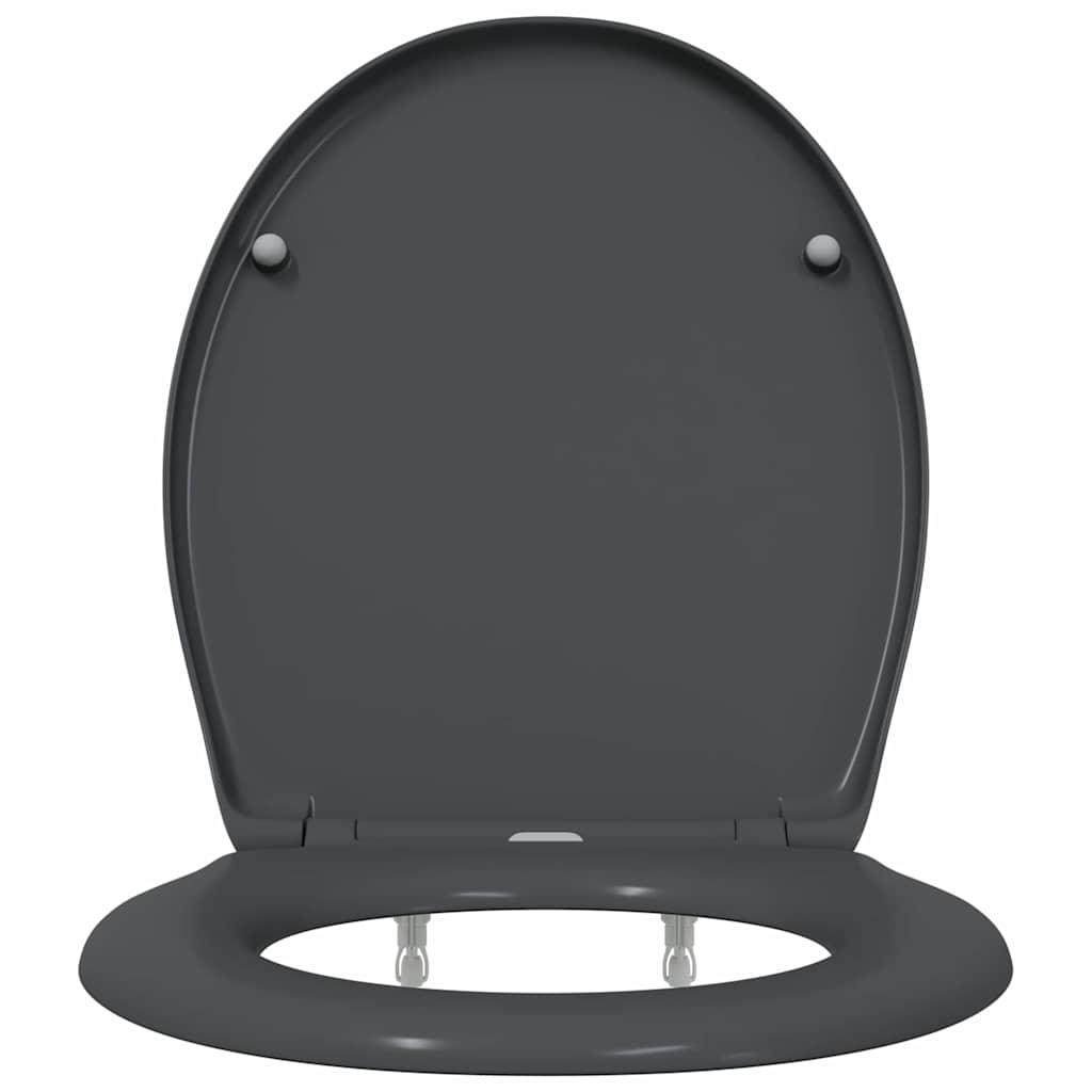 Quick Release Toilet suitable for Seat Anthracite