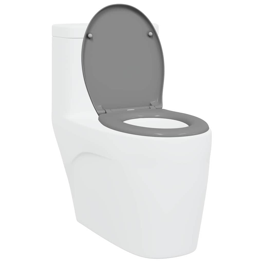 Quick Release Toilet suitable for Seat Grey