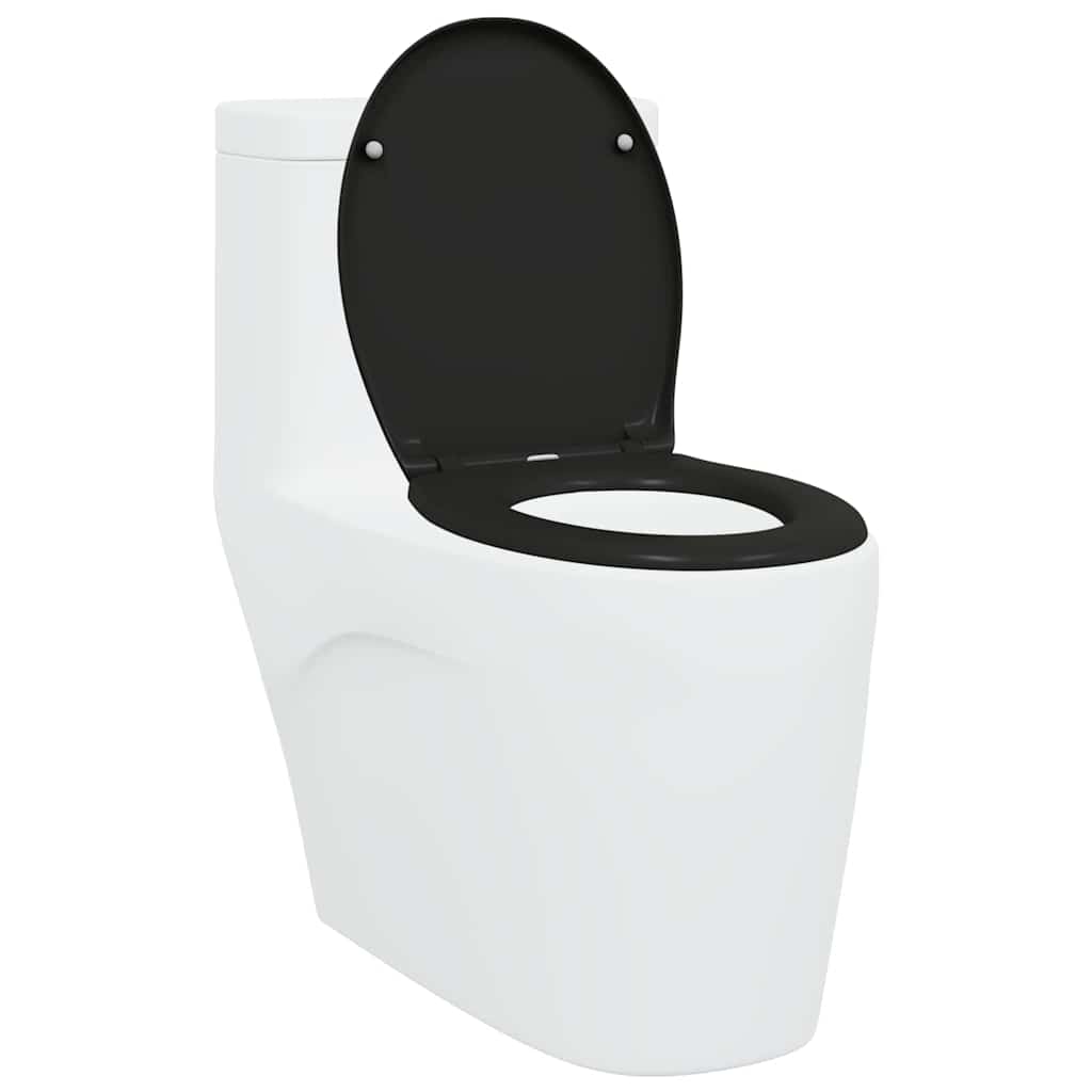 Quick Release Toilet suitable for Seat Black