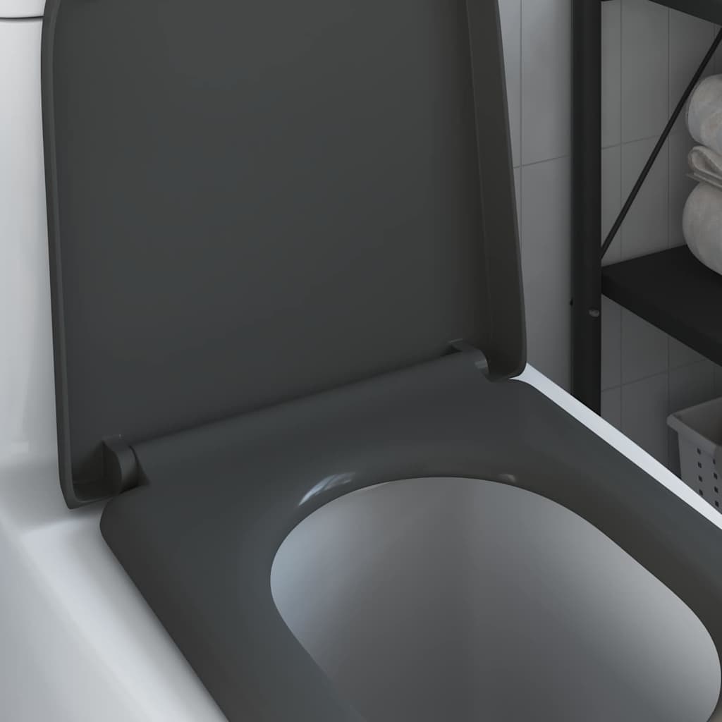 Quick Release Toilet suitable for Seat Anthracite