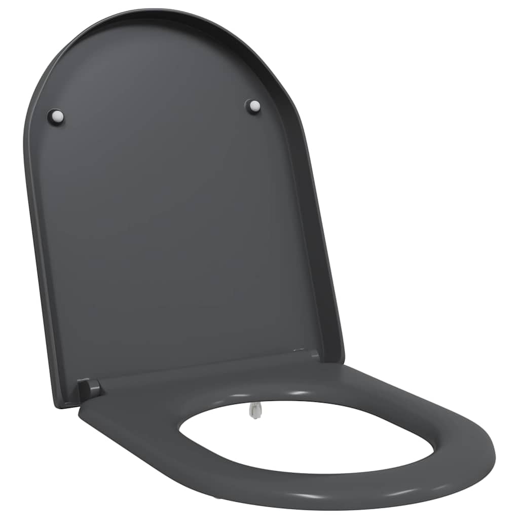 Quick Release Toilet suitable for Seat Anthracite