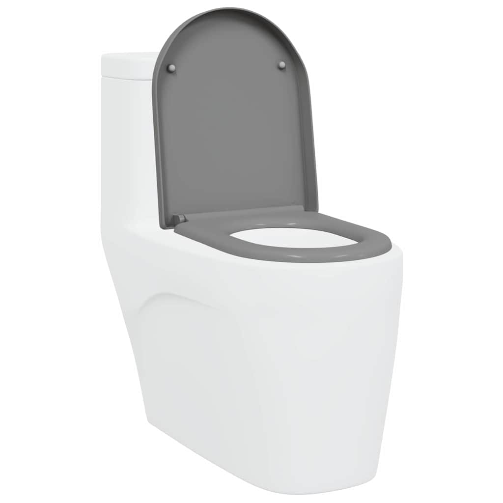 Quick Release Toilet suitable for Seat Grey 46.2 x 36 x 4.3 cm