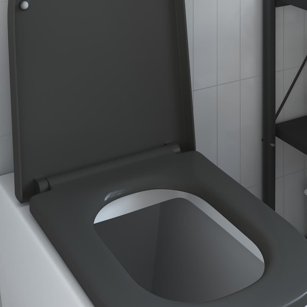 Quick Release Toilet suitable for Seat Anthracite