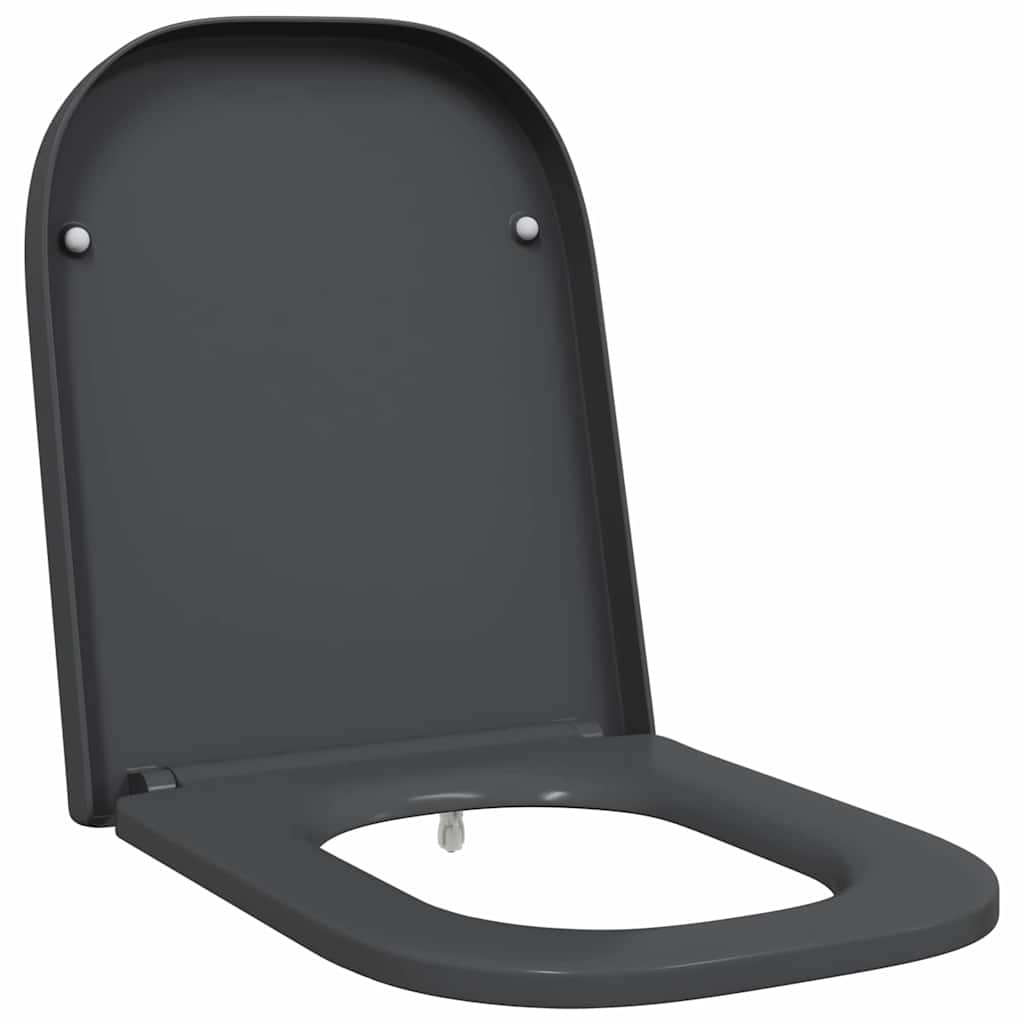 Quick Release Toilet suitable for Seat Anthracite