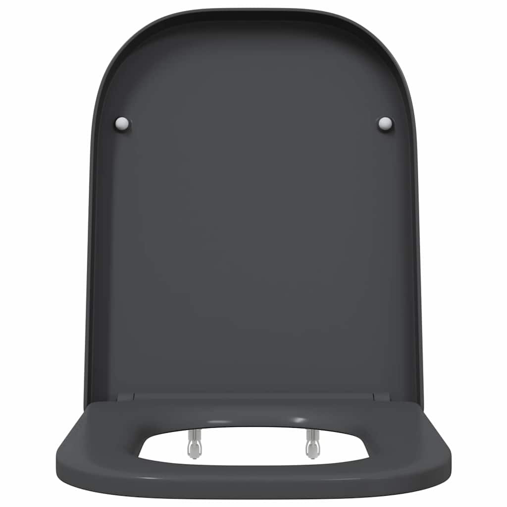 Quick Release Toilet suitable for Seat Anthracite