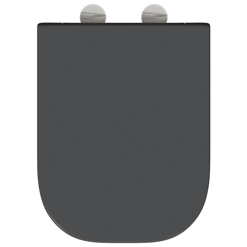 Quick Release Toilet suitable for Seat Anthracite