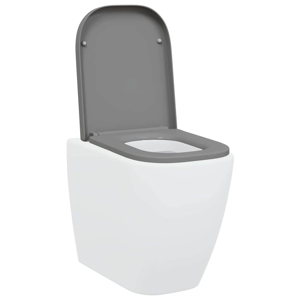 Quick Release Toilet suitable for Seat Grey 44.5 x 35 x 3.6 cm
