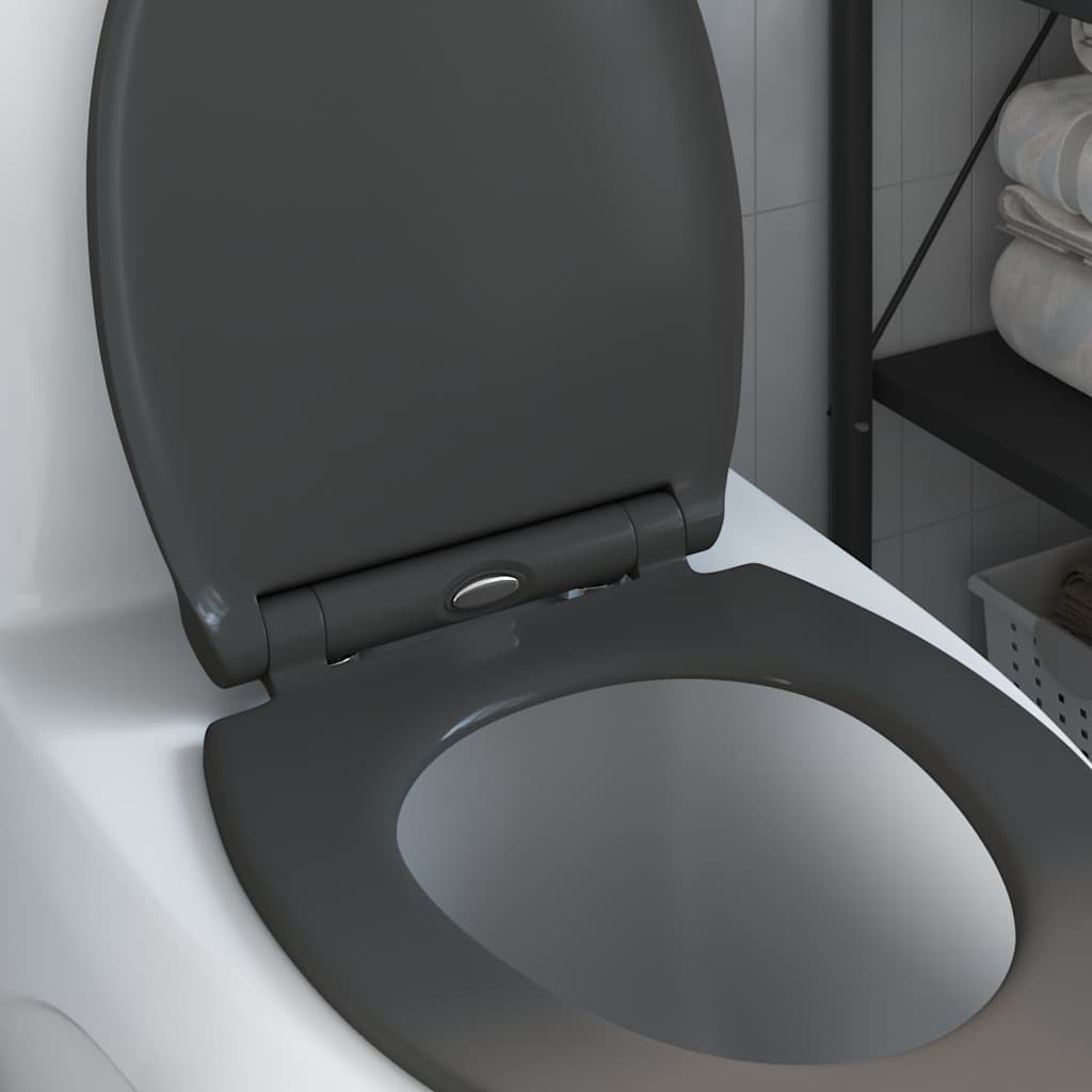 Quick Release Toilet suitable for Seat Anthracite