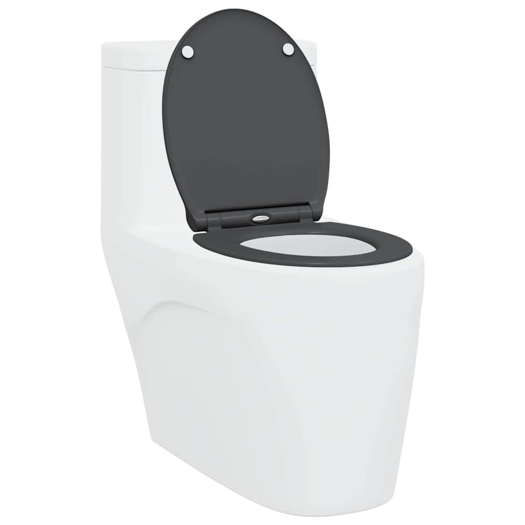 Quick Release Toilet suitable for Seat Anthracite