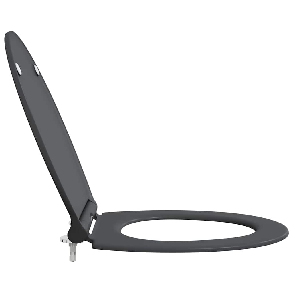Quick Release Toilet suitable for Seat Anthracite