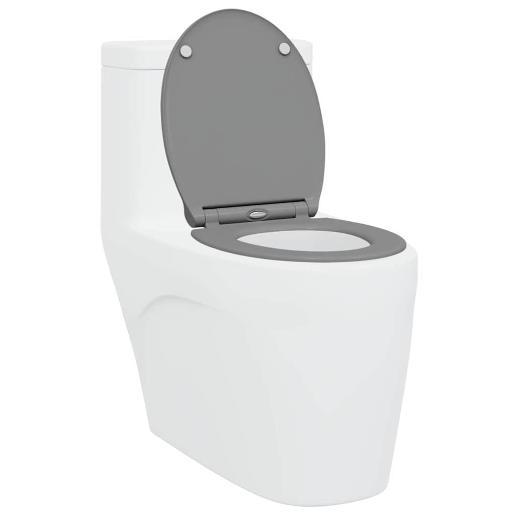 Quick Release Toilet suitable for Seat Grey