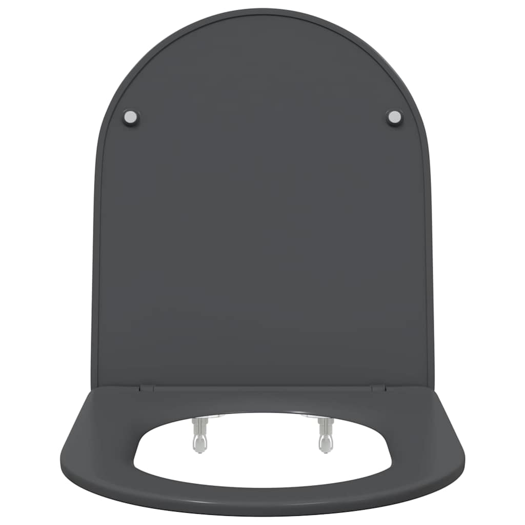 Quick Release Toilet suitable for Seat Anthracite