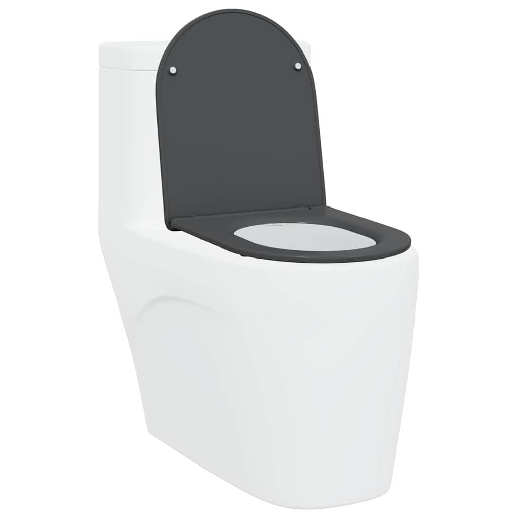 Quick Release Toilet suitable for Seat Anthracite