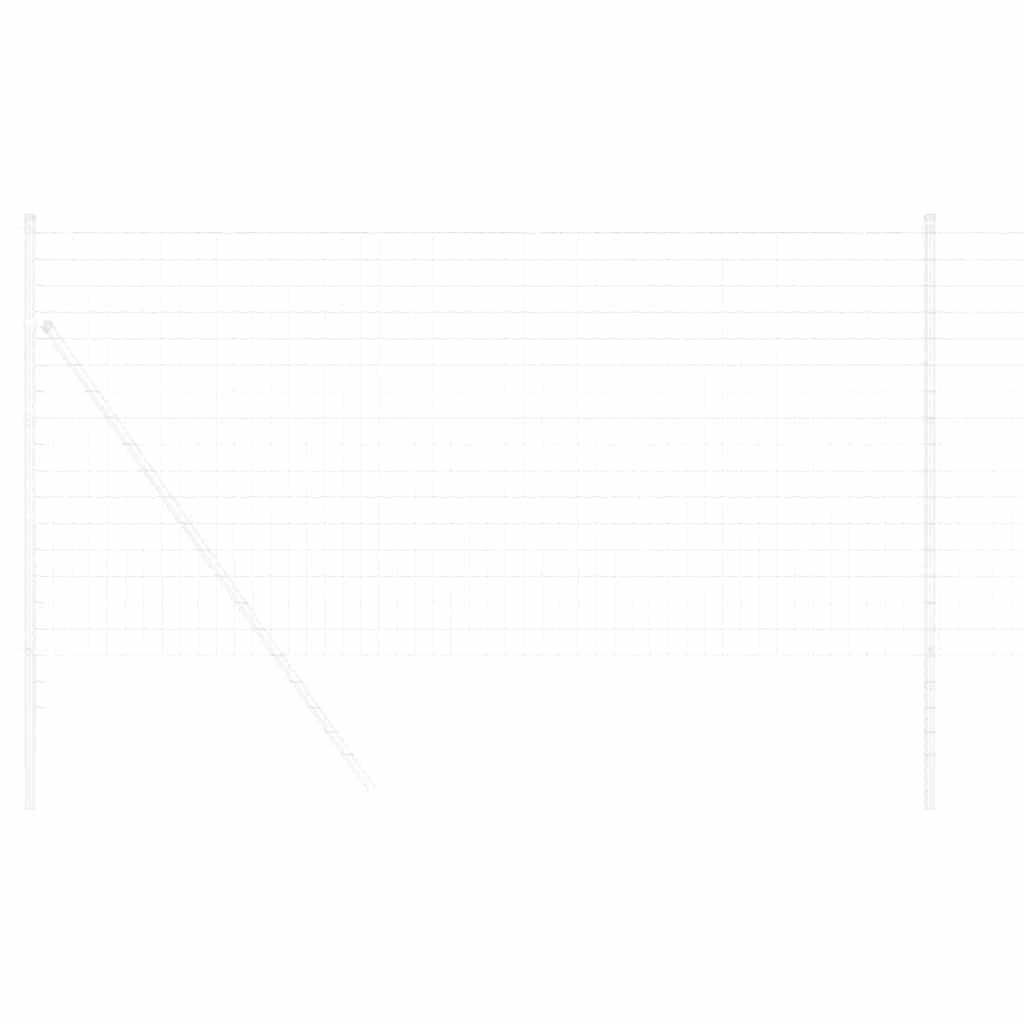 Euro Fence Silver 1 x 10 m Hot dip galvanized iron