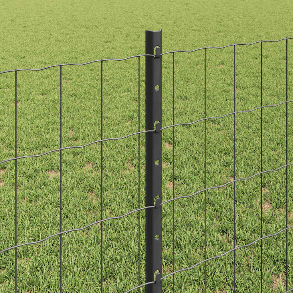 Fence with Posts Grey 0.8 x 10 m Steel