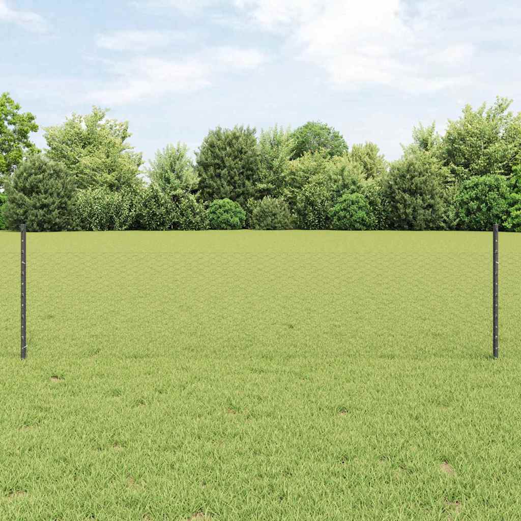 Fence with Posts Grey 0.5 x 10 m Steel