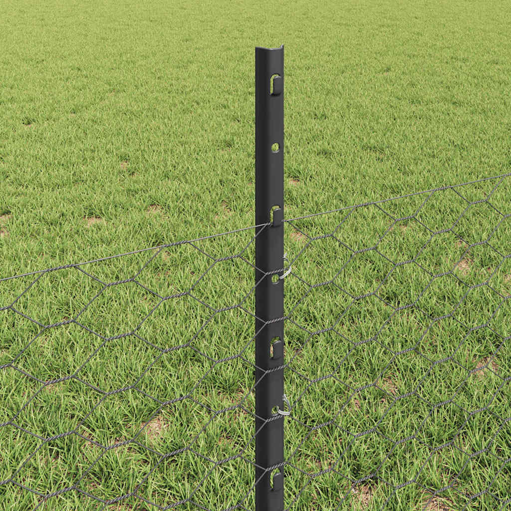 Fence with Posts Grey 0.5 x 10 m Steel