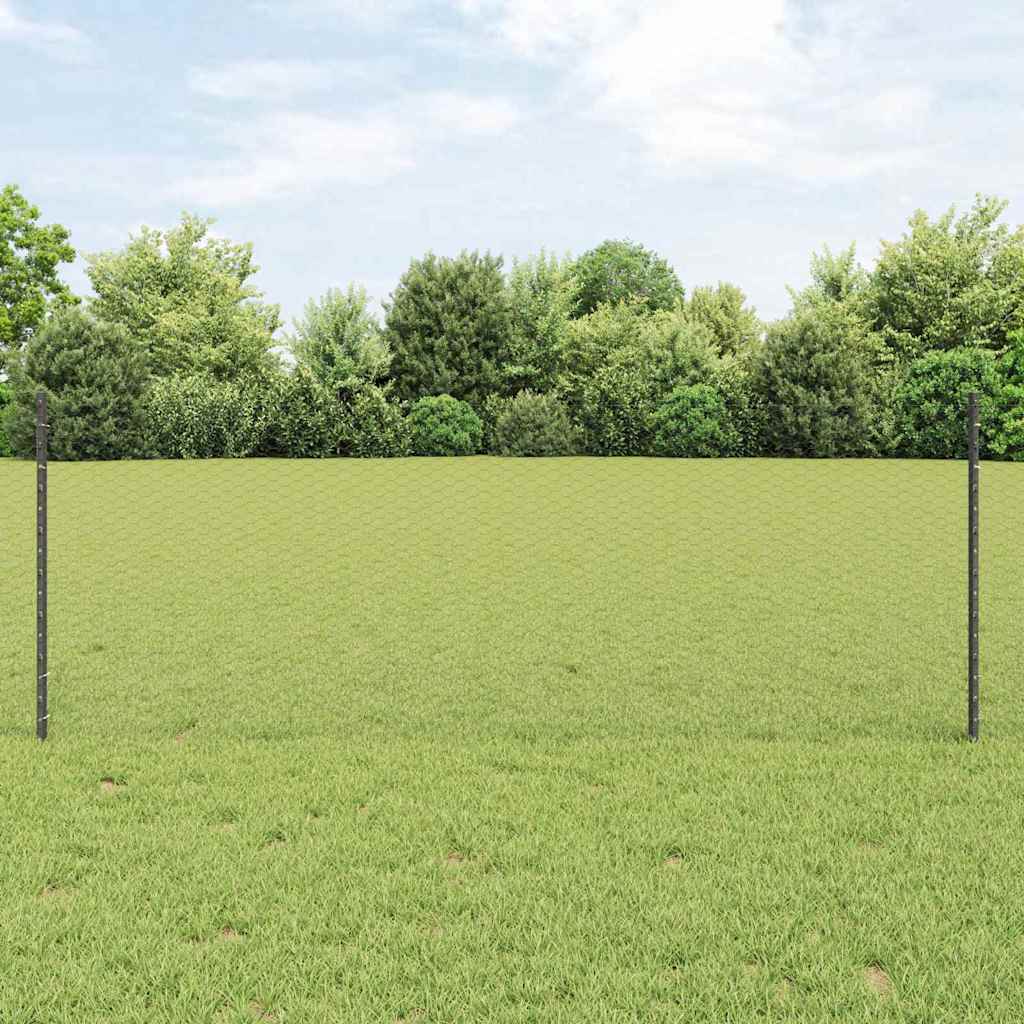 Fence with Posts Grey 0.8 x 10 m Steel