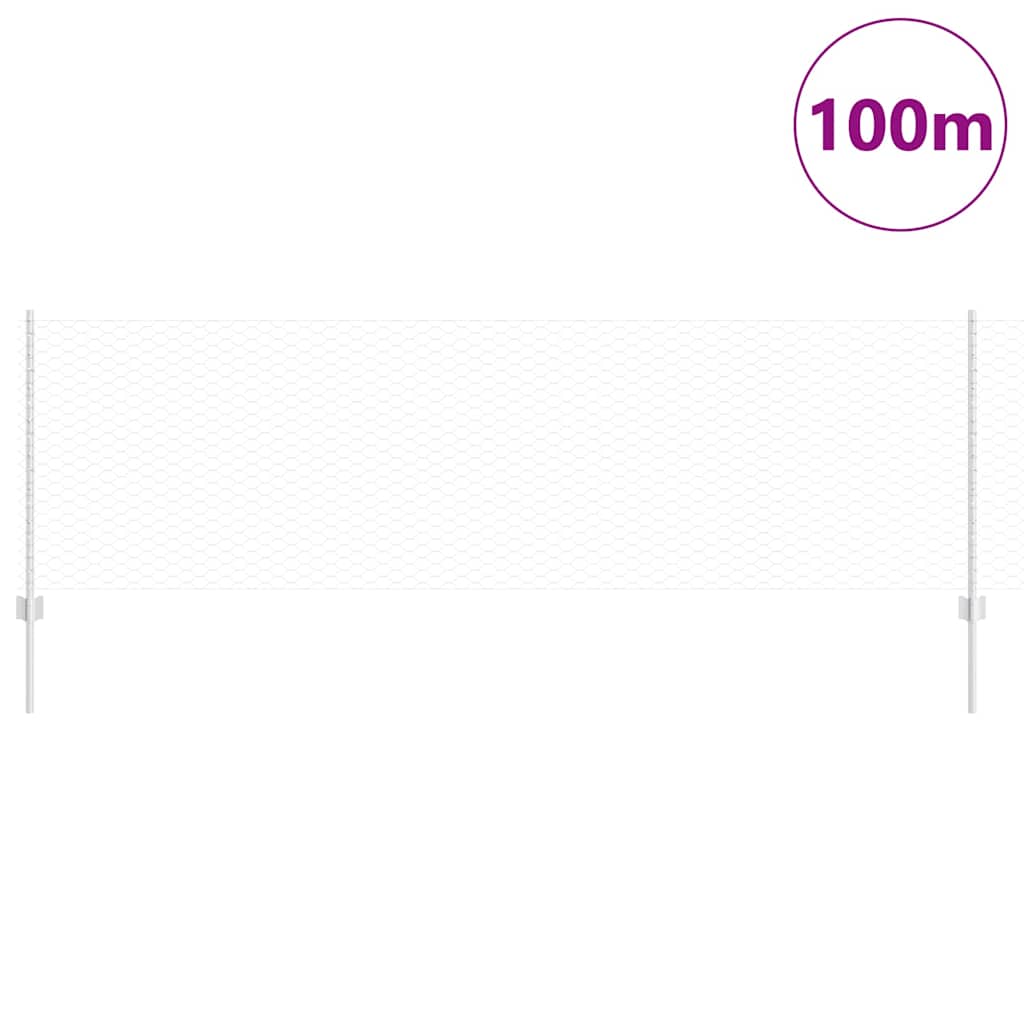 Fence with Posts Silver 0.8 x 100 m Steel