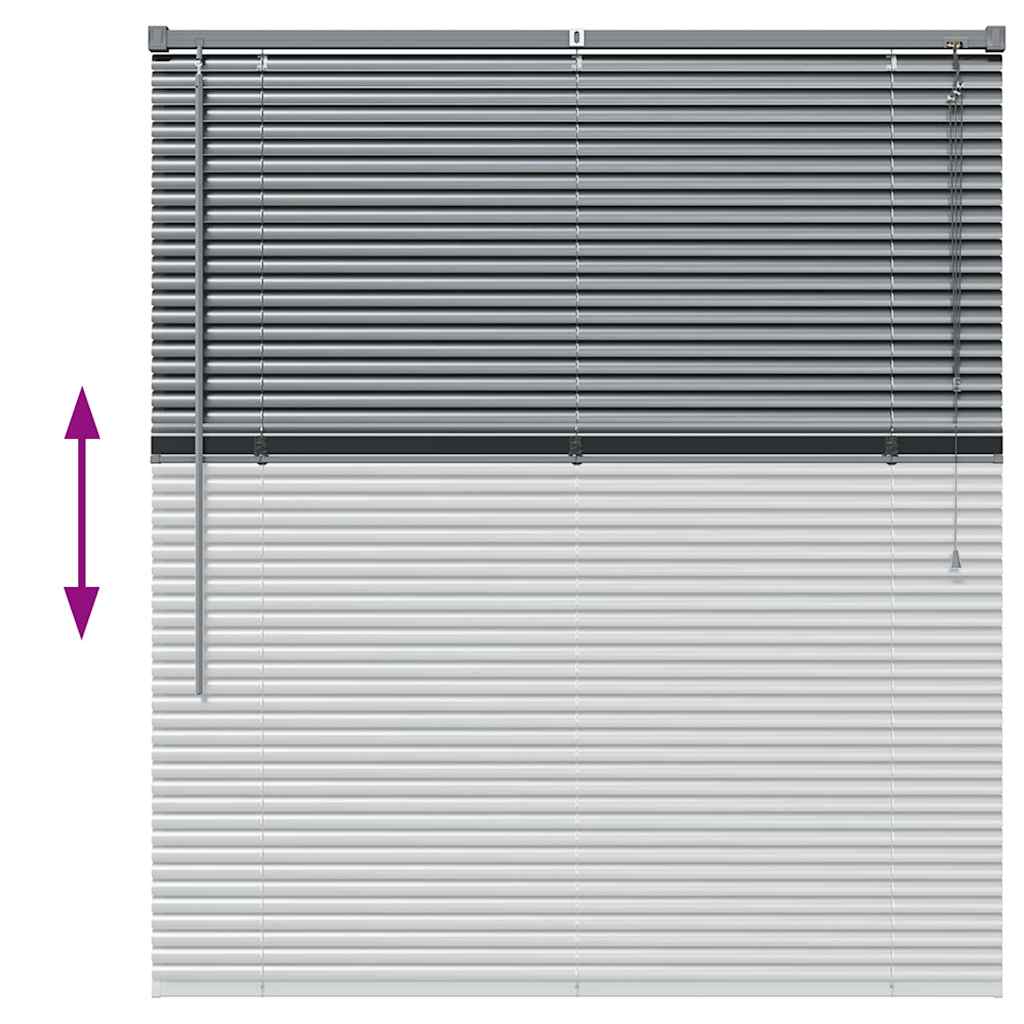 Window Blind with Curtains Manual Dark grey Aluminium