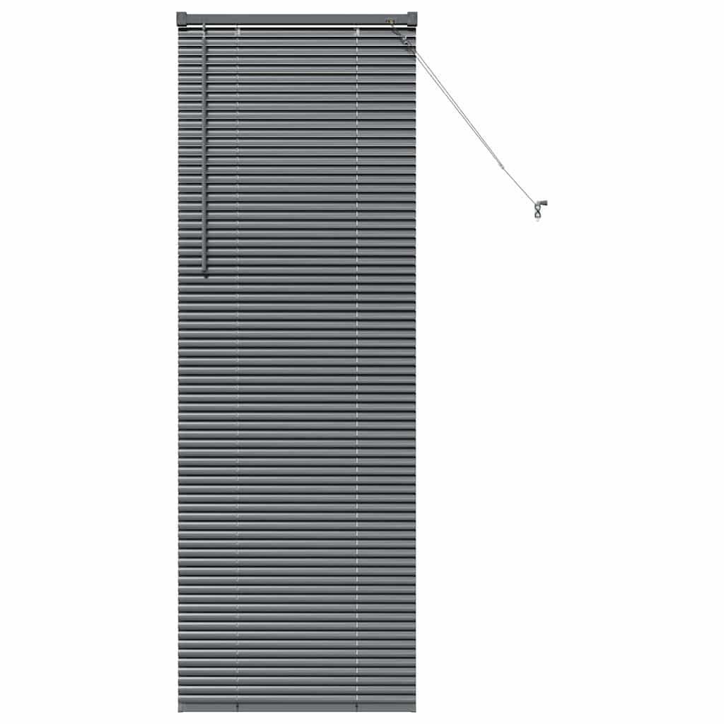 Window Blind with Curtains Manual Dark grey Aluminium