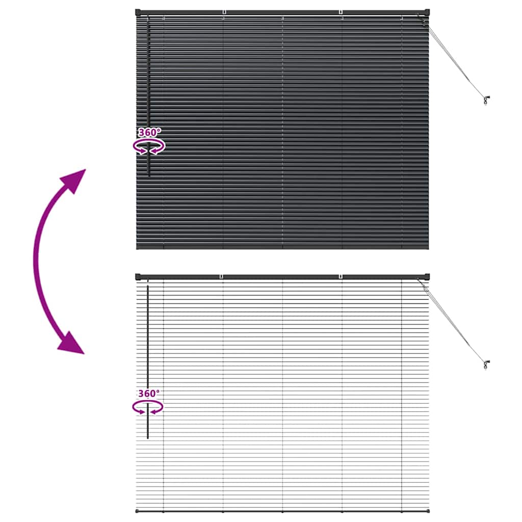 Window Blind with Curtains Manual Black Aluminium