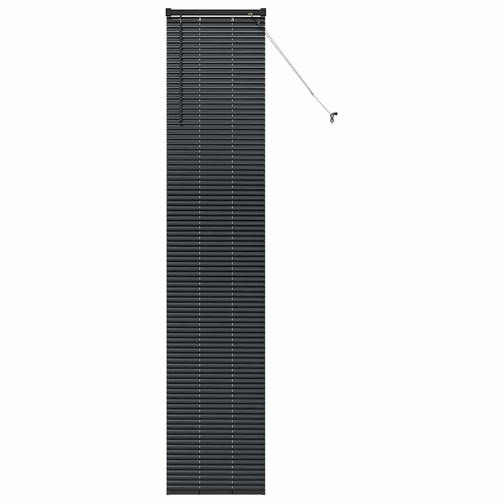Window Blind with Curtains Manual Black Aluminium