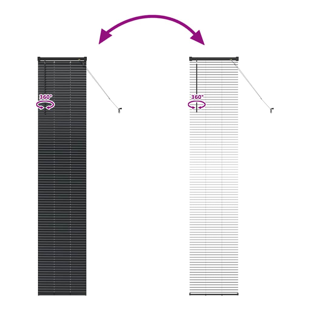 Window Blind with Curtains Manual Black Aluminium
