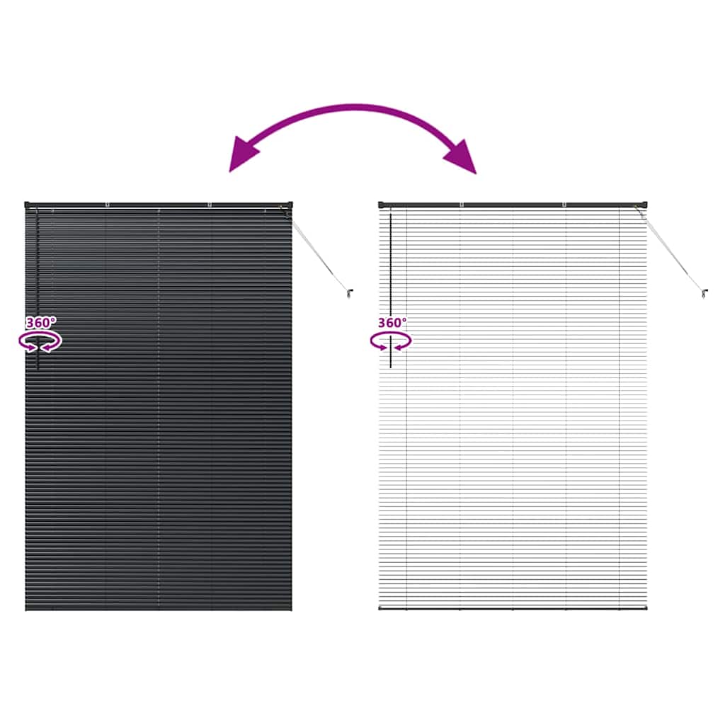 Window Blind with Curtains Manual Black Aluminium